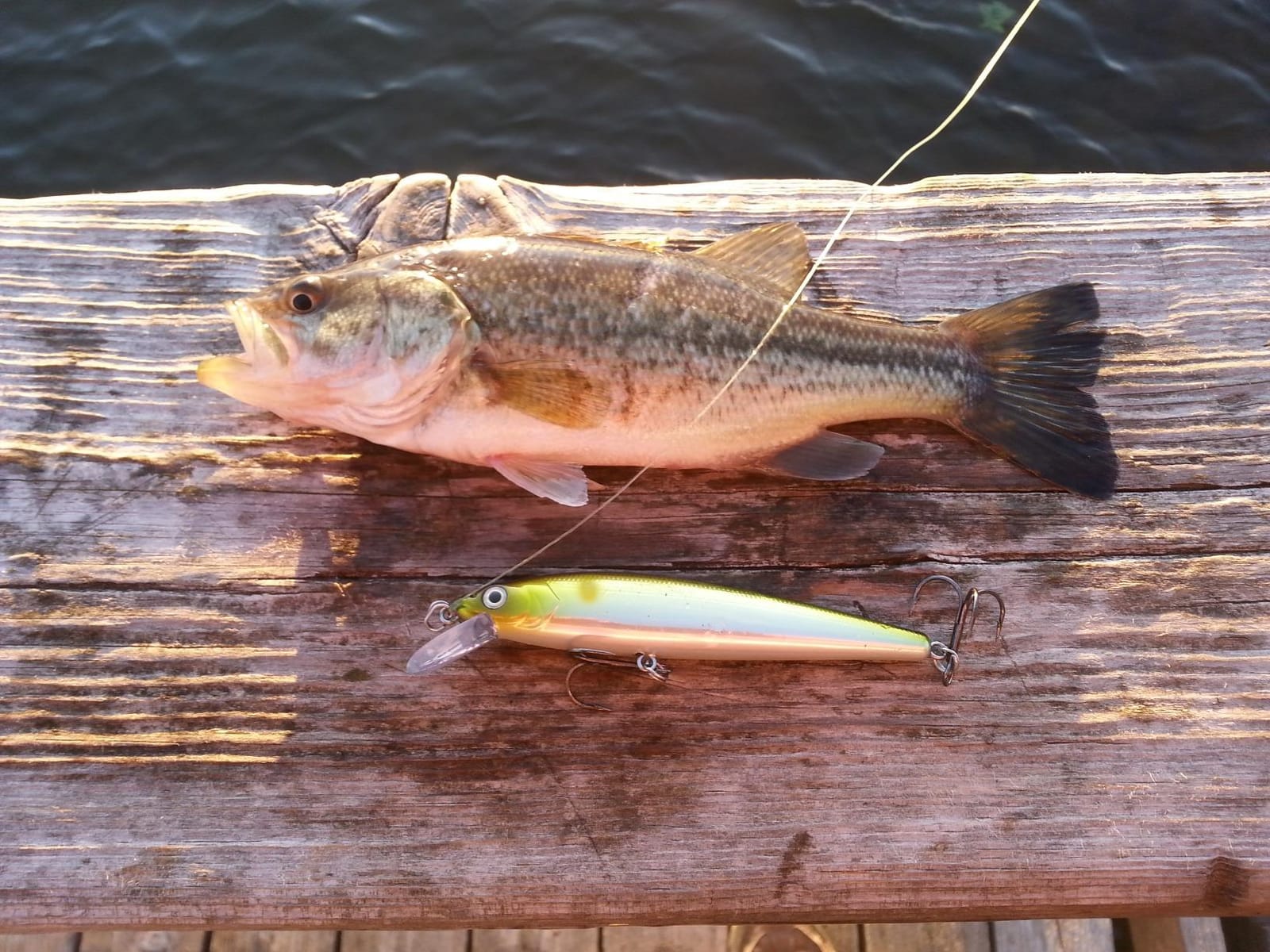 Strike King KVD Jerkbait 2 Hook customer photo 2