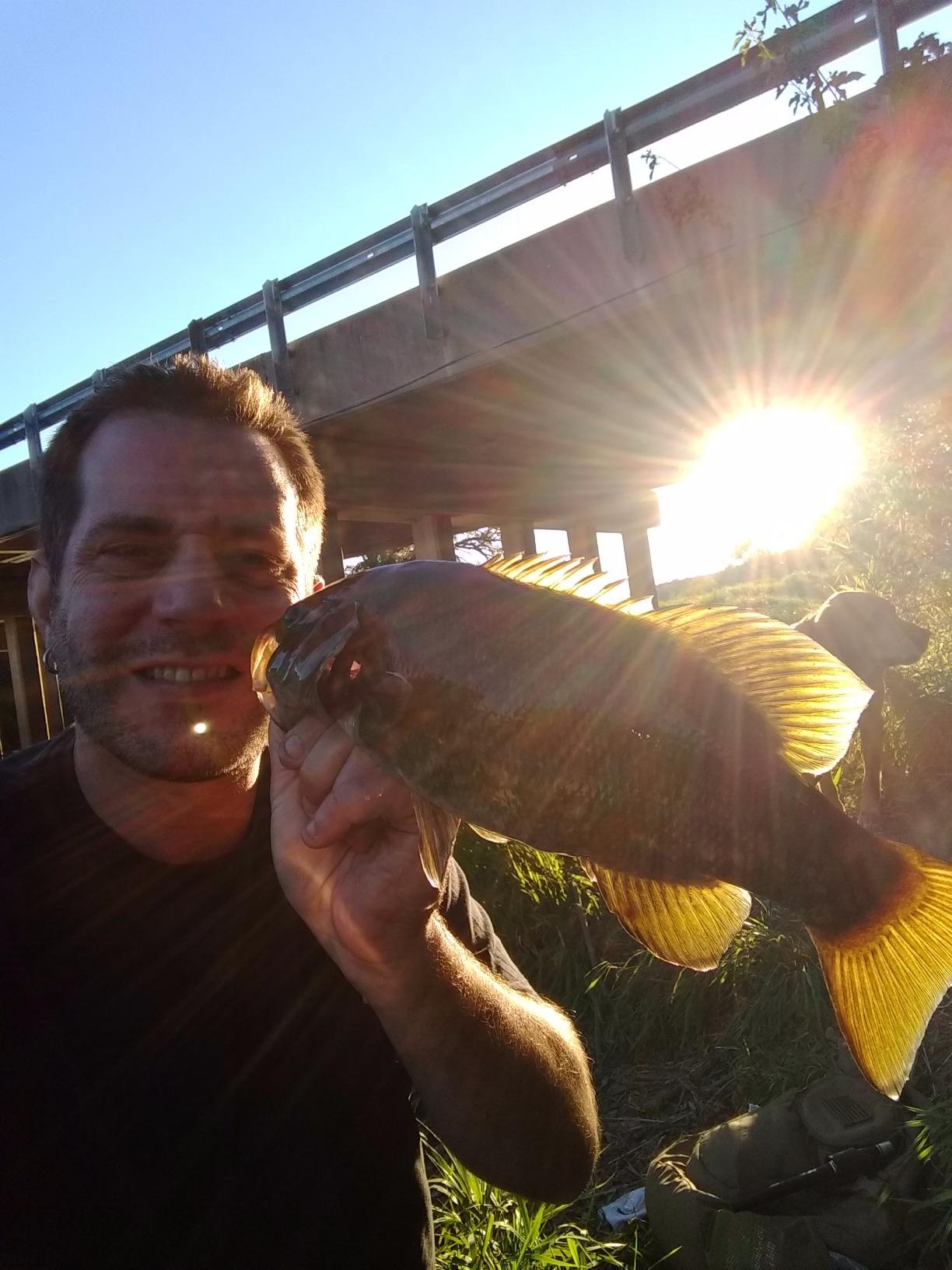 Arbogast Jitterbug Topwater Bass Fishing Lure - Excellent for Night Fishing customer photo 1