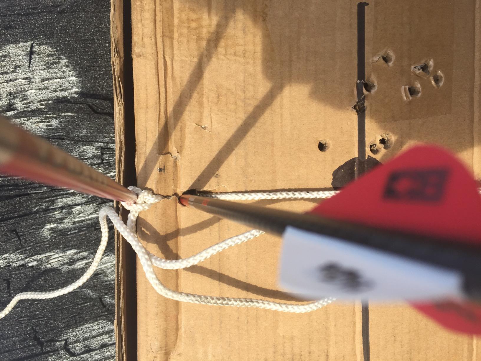 Carbon Express Maxima RED Fletched Carbon Arrows with Dynamic Spine Control and Blazer Vanes, 6-Pack, Available in 250(.400 Spine) & 350(.350 Spine) customer photo 1