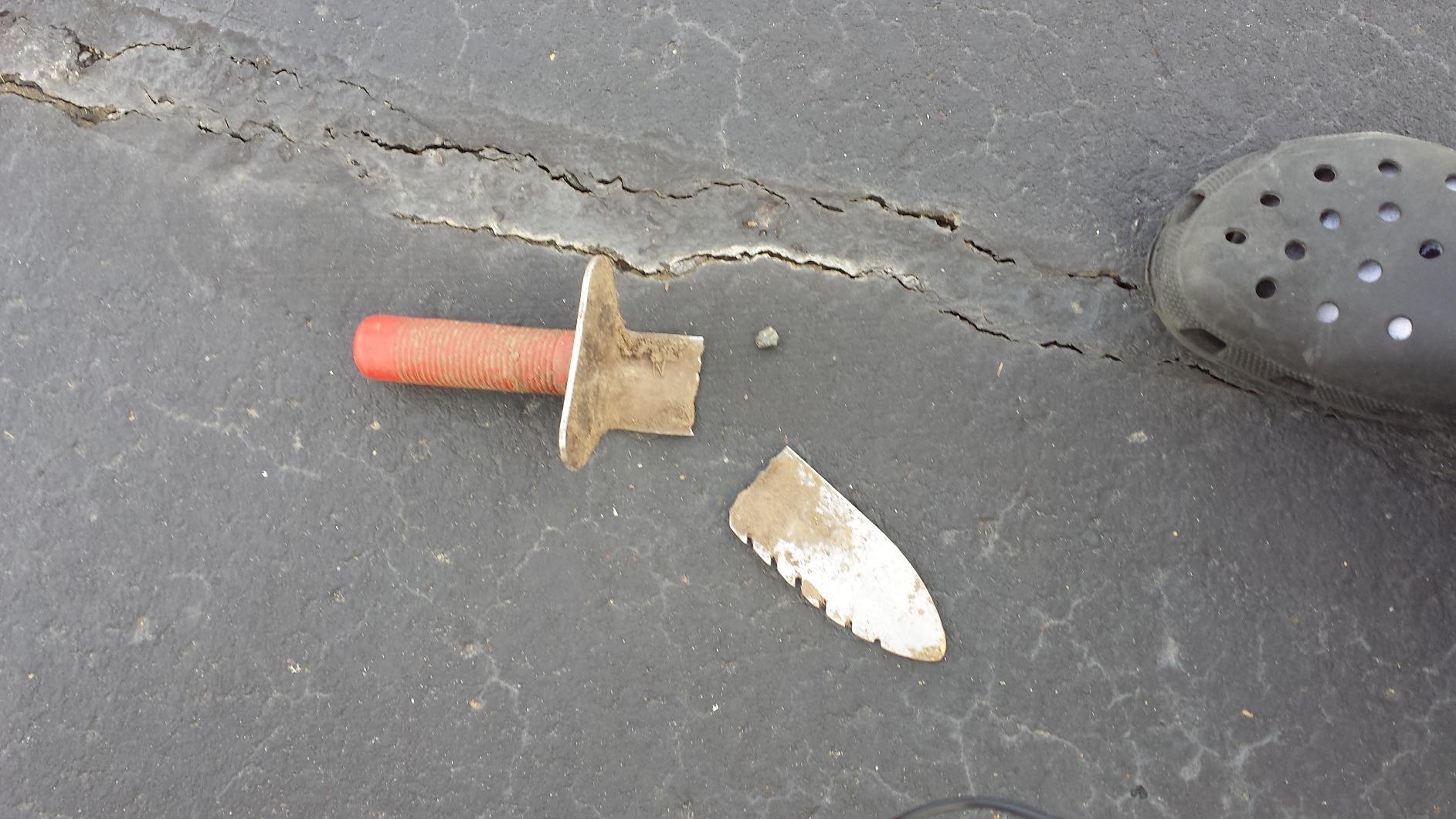 Lesche Digging Tool & Sod Cutter & Free Sheath! (Serrated on Left Side) customer photo 1