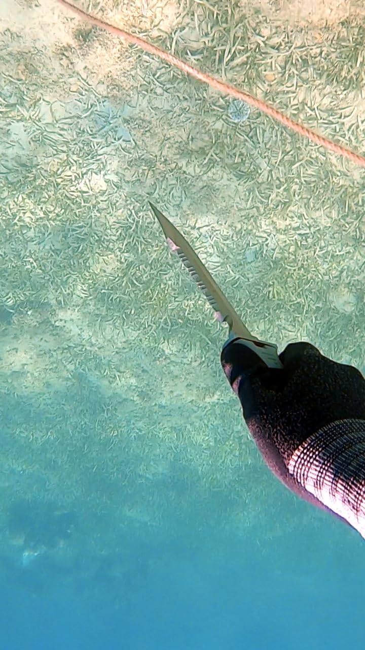 Cressi Borg, Long Blade Knife for Diving and Spearfishing Knife - Pointed & Blunt Tip customer photo 2