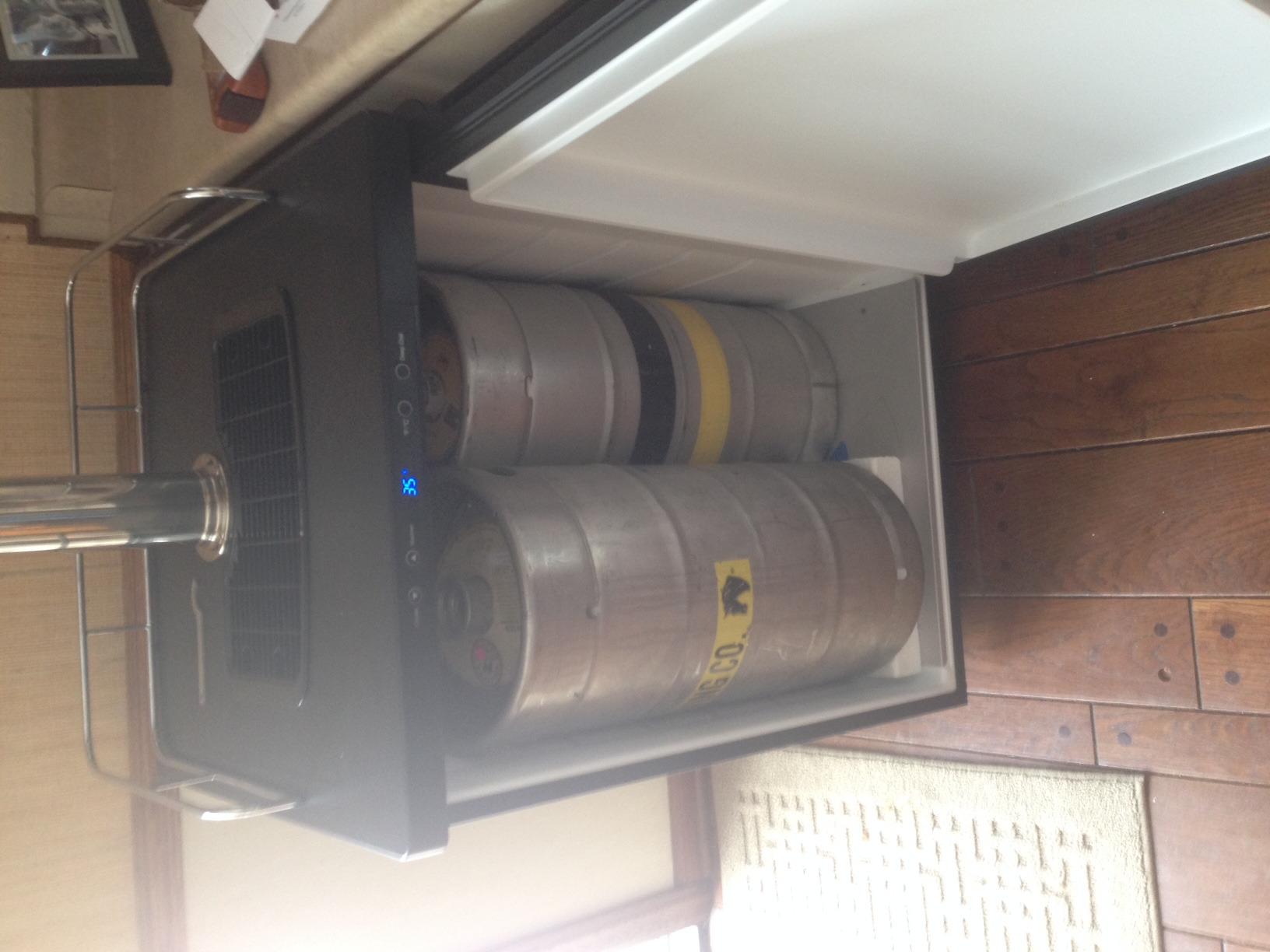Kegco K309SS-2 24