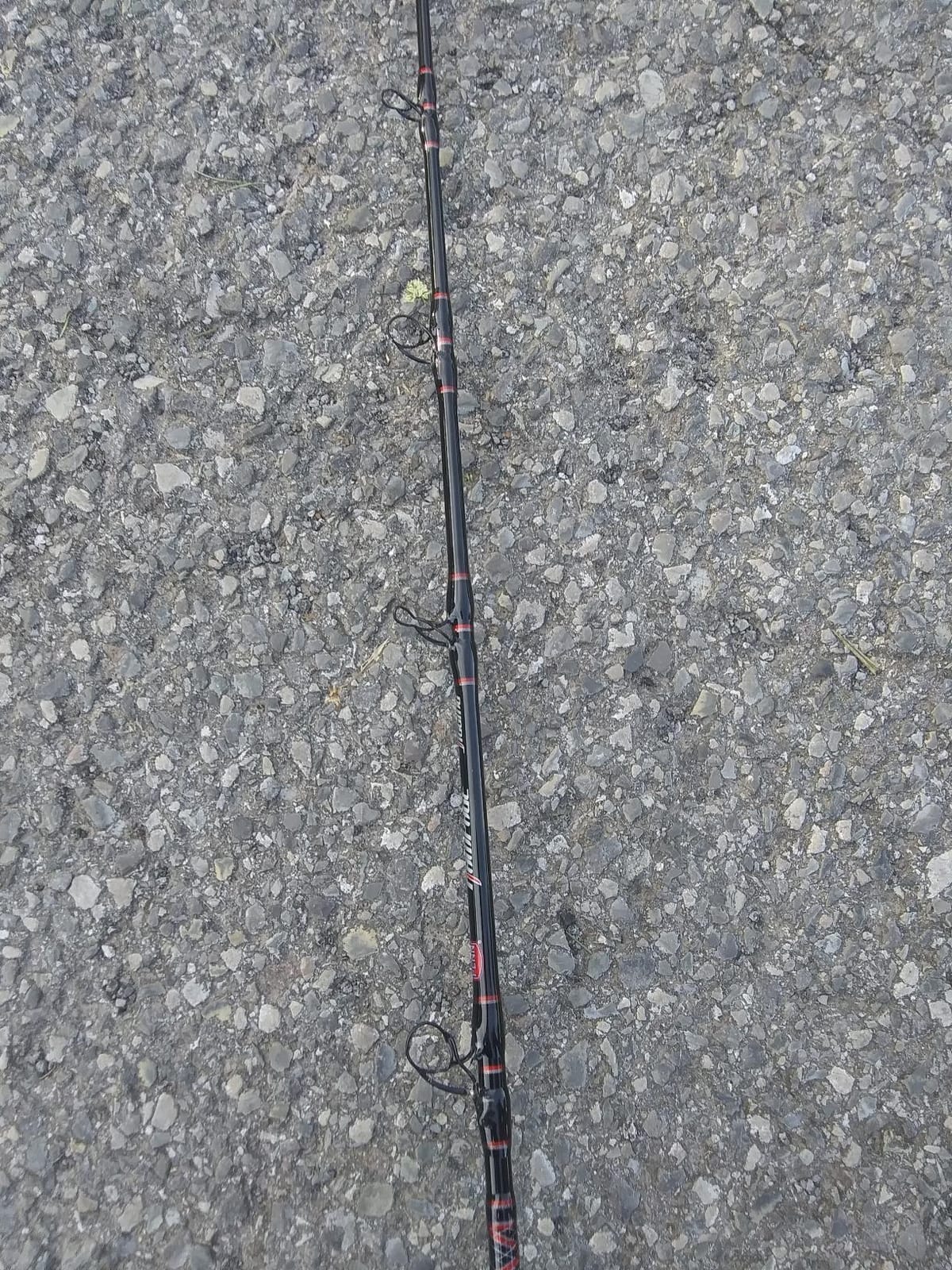 Penn Rampage Boat Casting Fishing Rod customer photo 1