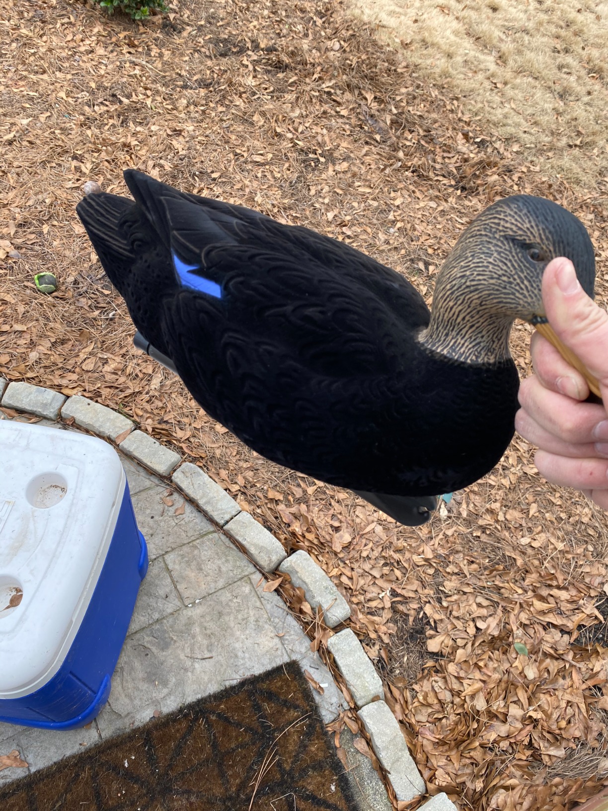 Avian-X Topflight Realistic Duck Decoy Sets with Flocked Bodies, 6 Unique Postures, Weight Forward Swim Keel, & Durable No Flake Finish customer photo 2