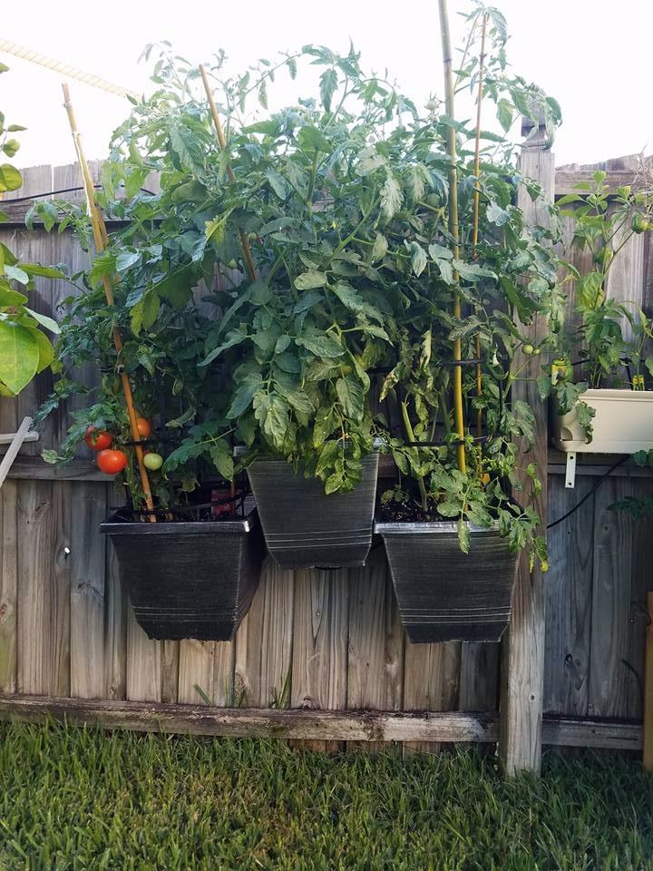 R560DP Drip Watering System, Automatic Drip Irrigation System with Timer for Containers and Hanging Baskets, Waters up to 20 Plants, Includes 20 Drippers, Black customer photo 2