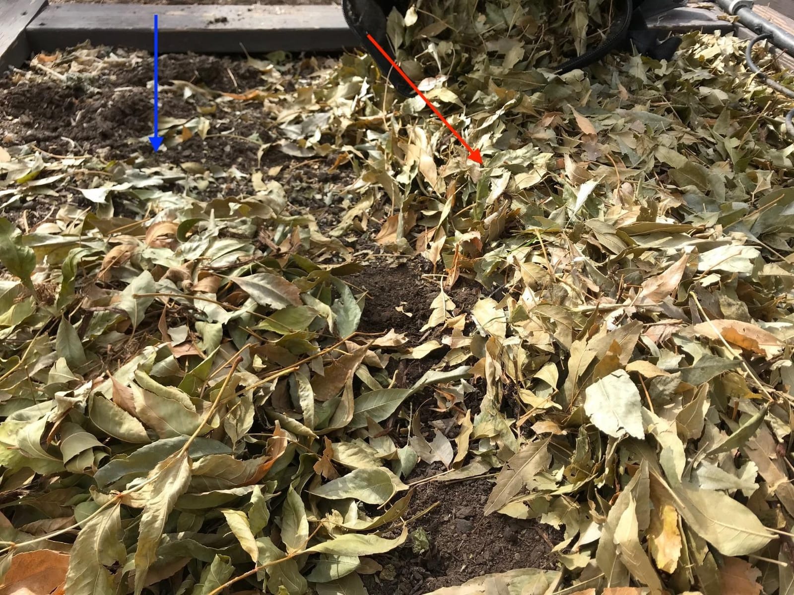 WORX Trivac 3-in-1 Electric Leaf Blower/Leaf Vacuum/Leaf Mulcher, WG509 | 350CFM & 210MPH Airflow, 18:1 Mulch Ratio for Efficient Leaf Removal, Corded customer photo 2