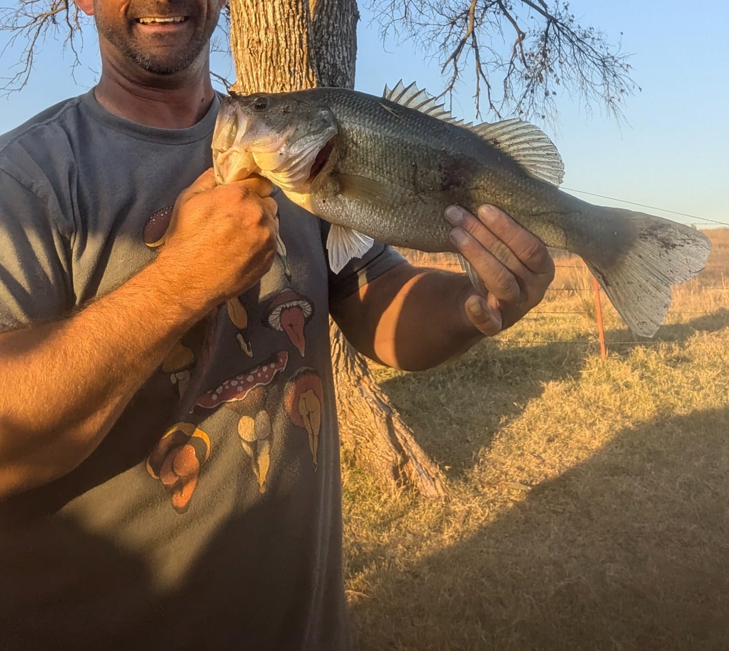 Strike King KVD 1.5 Shallow Square Bill Crankbait customer photo 1