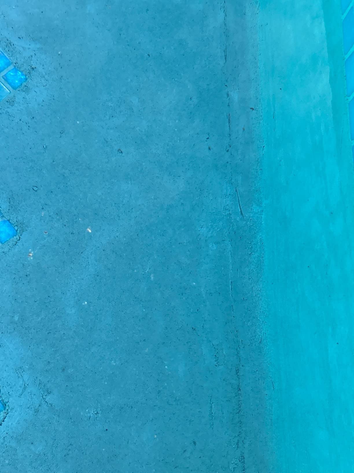 Dolphin Automatic Robotic Pool Vacuum Cleaner, Wall Climbing Scrubber Brush, Smart Navigation, Ideal for In-Ground Pools up to 40FT in Length - Nautilus CC Plus customer photo 2