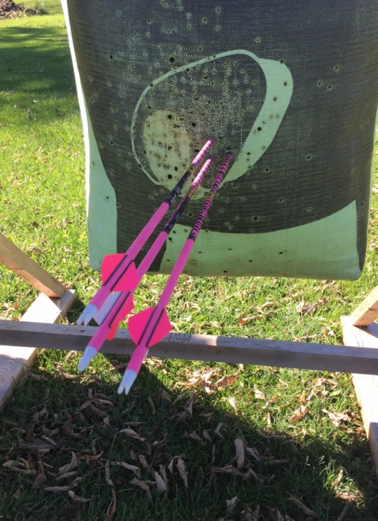 Gold Tip Ted Nugent Arrows with Raptor Vane (Pack of 6) customer photo 2