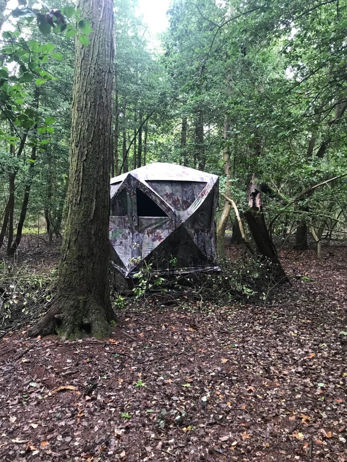 Barronett Big Cat Ground Hunting Blind, 3 Person Pop Up Portable, Backwoods Camo BC350BW customer photo 2