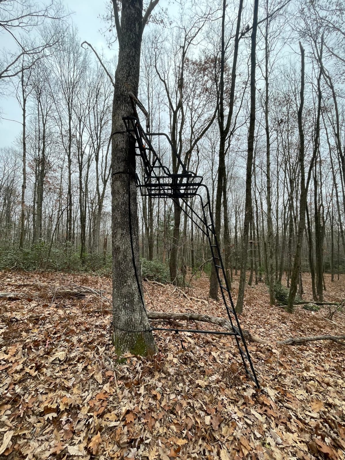 Muddy The Partner 2-Person 17ft customer photo 1
