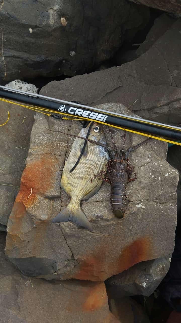Cressi Apache Aluminum Speargun with Galvanized Notched Shaft & Circular Elastic Band - Made in Italy: Quality Since 1946 customer photo 2