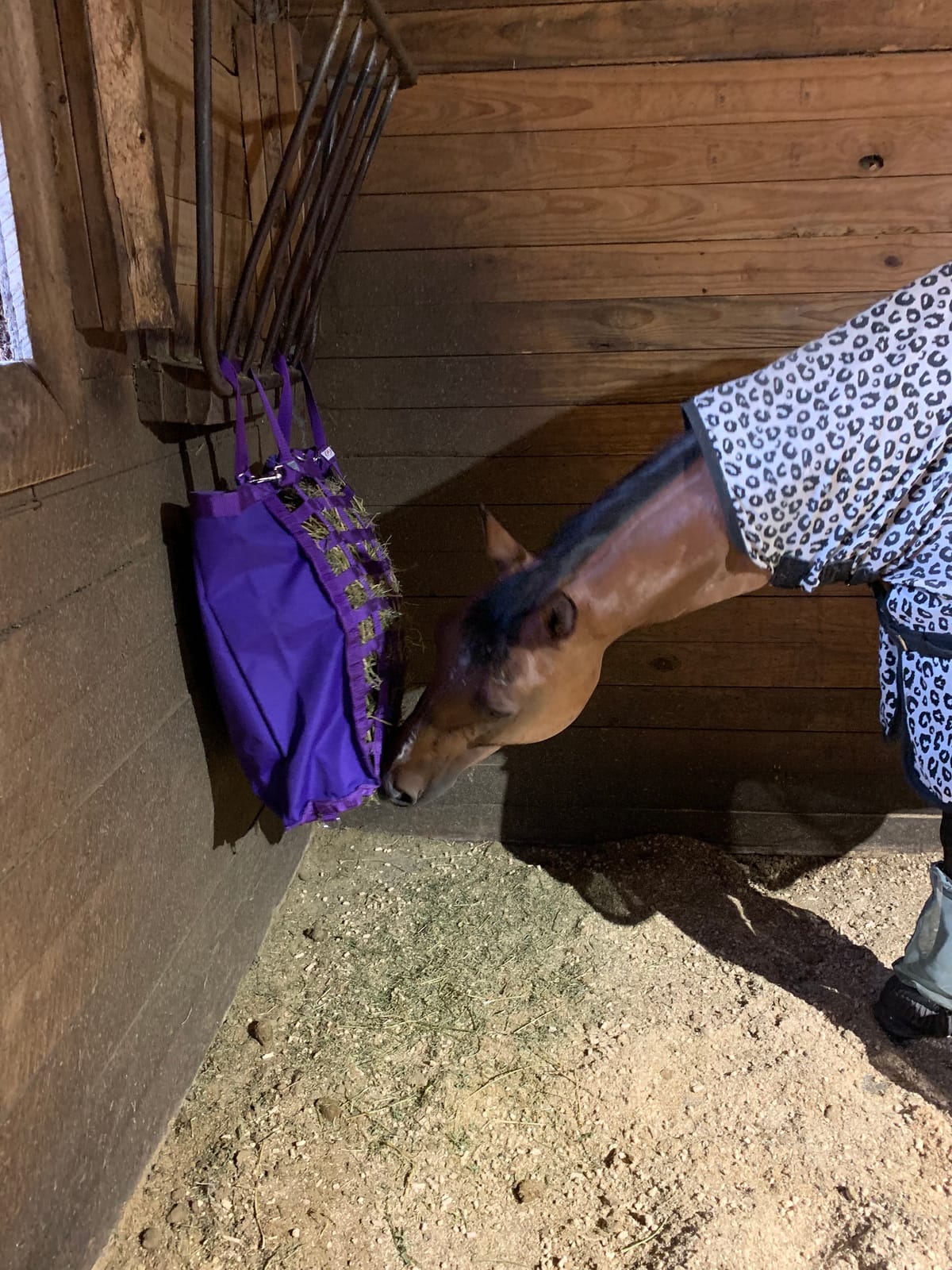 Derby Originals Front Web Slow Feeder Horse Hay Bag Super Tough Bottom with 6 Month Warranty customer photo 2