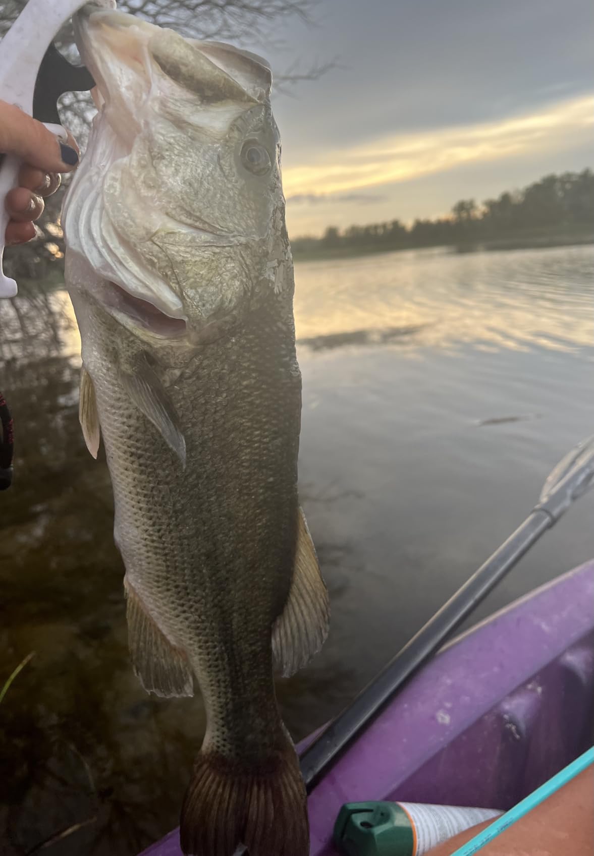 Rapala 6 Inch Floating Fish Gripper, Fish Handling Tool customer photo 2