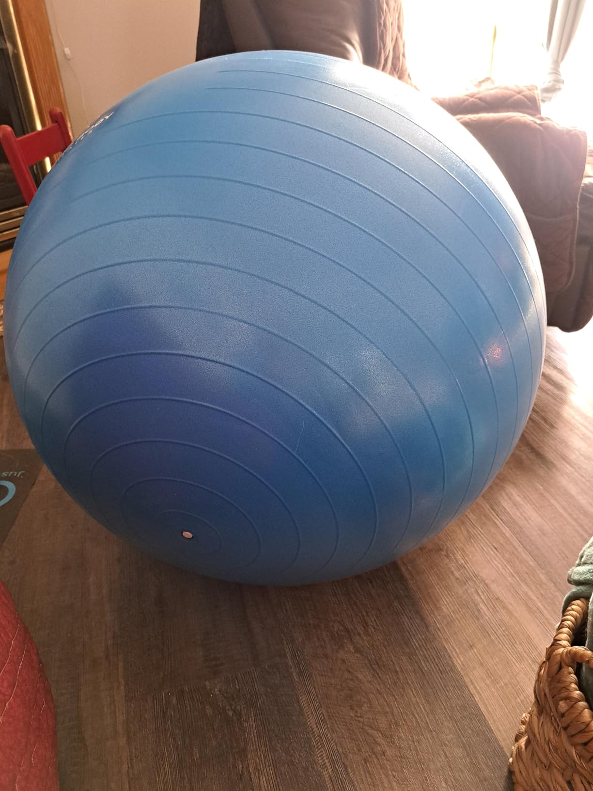 ProBody Pilates Yoga Ball - Gym Grade Exercise Ball | Sizes 45/55/65/75/85 cm, 880 lb Load, CA 10P Cert, PT & Prenatal Use, Recommended by OBs, Pump customer photo 1