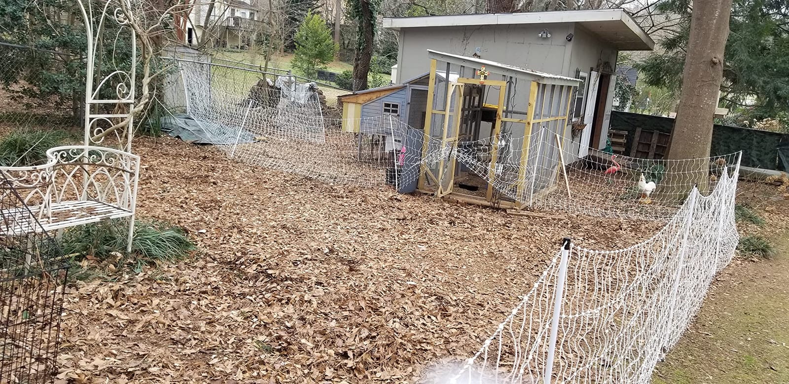 Premier 1 PoultryNet Electric Fence for Chickens - 48