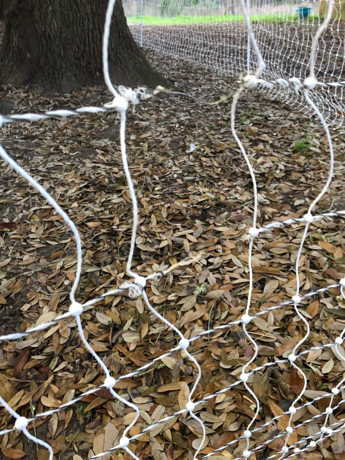 Premier 1 PoultryNet Electric Fence for Chickens - 48