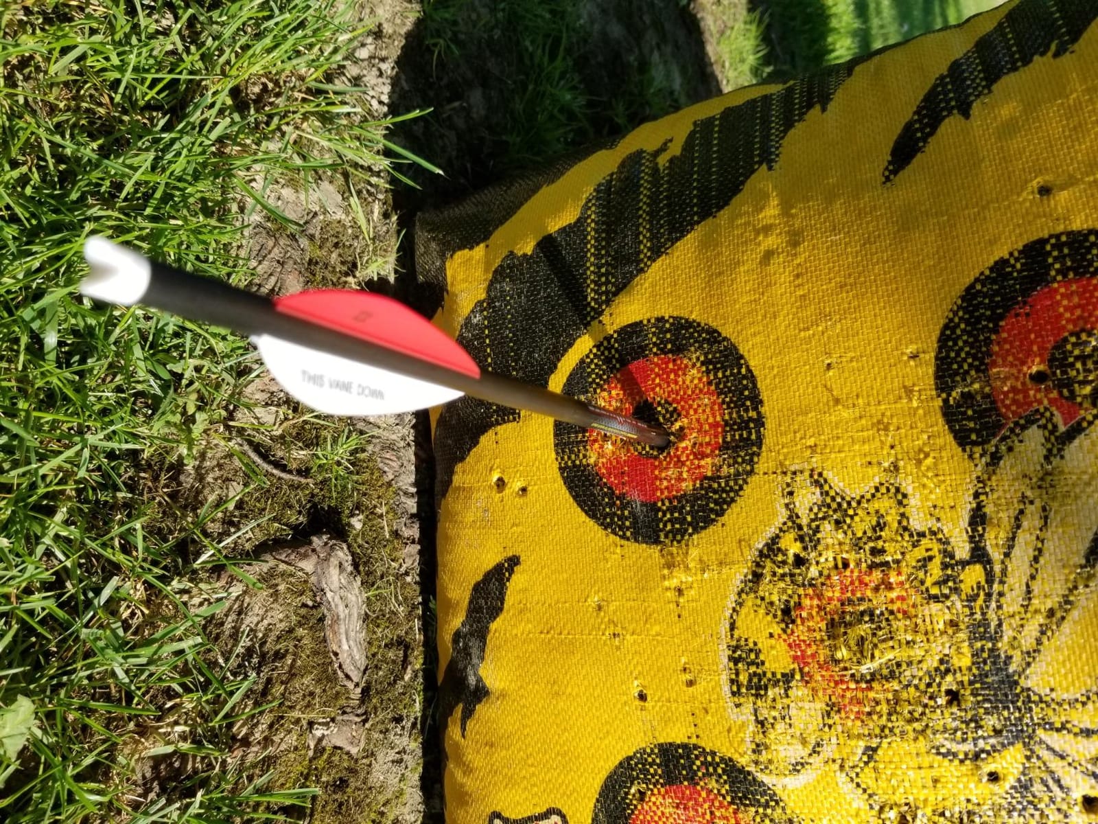 Bloodsport Crossbow Bolts customer photo 1