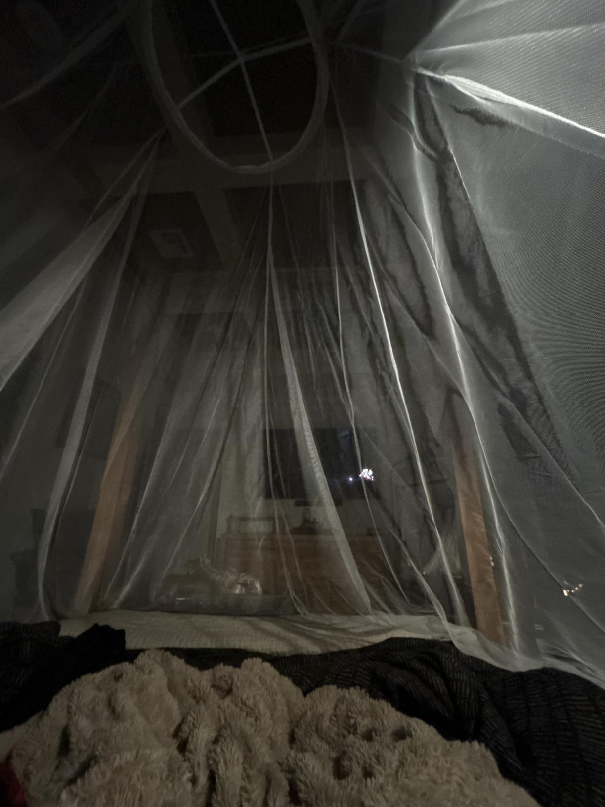 Mosquito Net for Queen & King-Size Bed - Fully Enclosed Bed Canopy | Insect Netting for Travel & Decoration - Includes Bag & Adhesive Ceiling Hooks customer photo 1