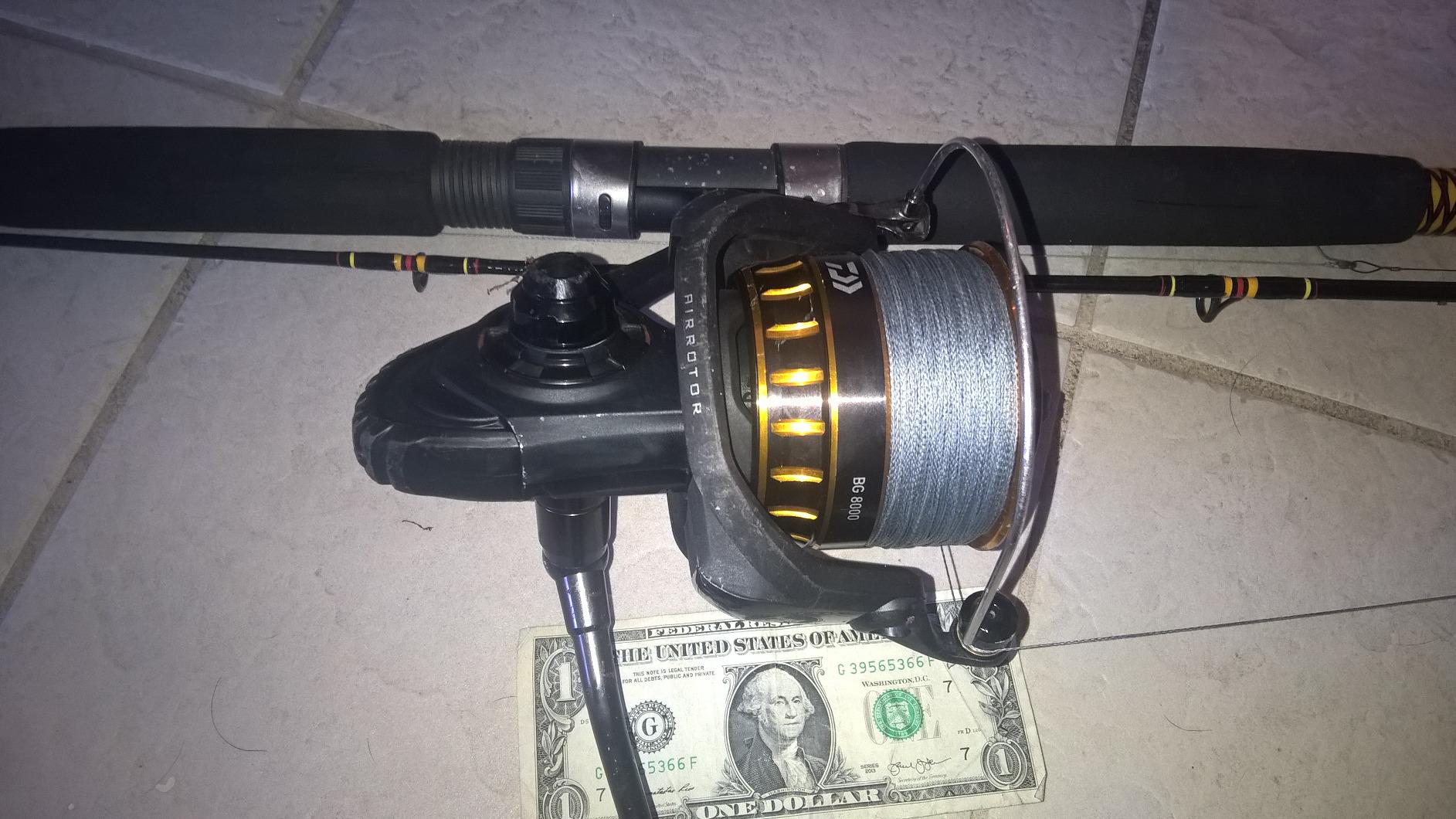Daiwa BG Spinning Reels BG, Saltwater customer photo 2