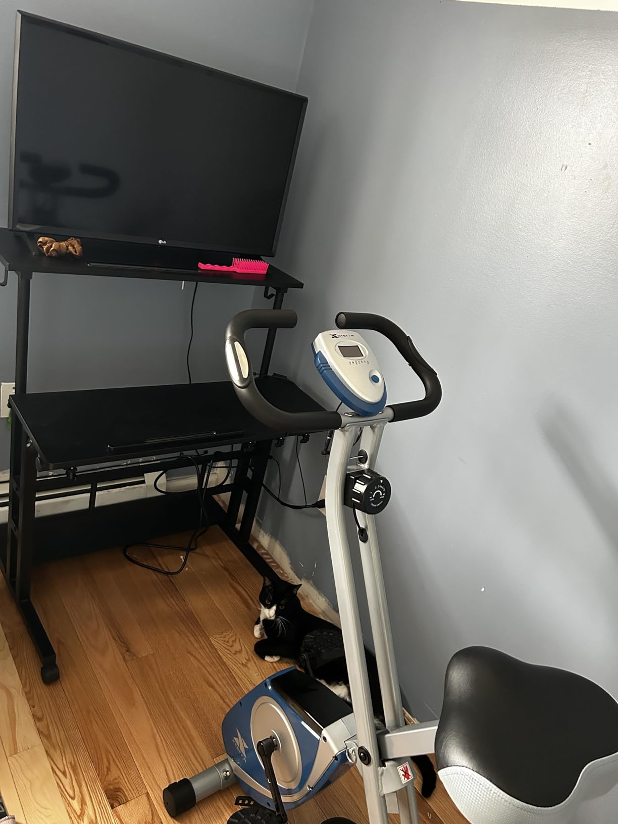 XTERRA Fitness Folding Exercise Bike, 225 LB Weight Capacity customer photo 2