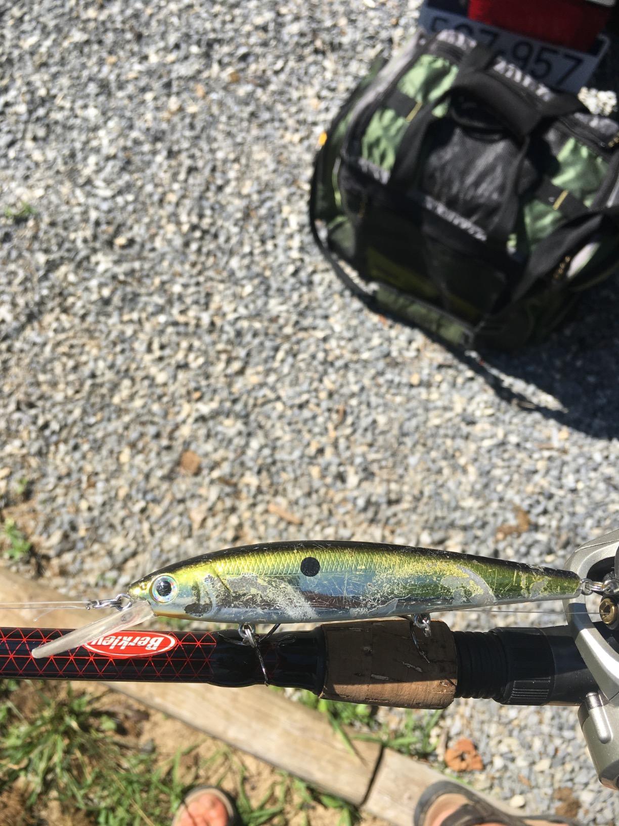 Strike King KVD Deep Jerkbait 3-Hook Fishing Lure, 3/5 oz, 4.75