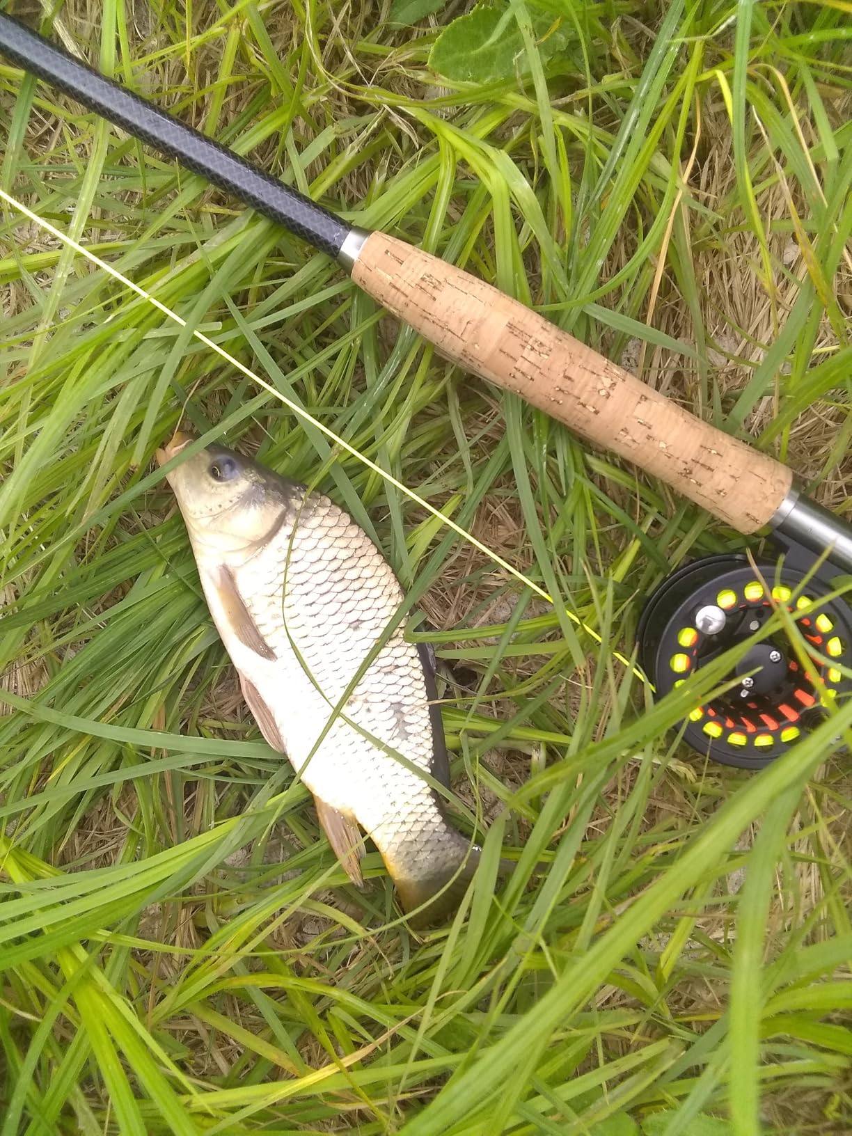 M MAXIMUMCATCH Maxcatch Extreme Graphite Fly Fishing Rod 4-Piece 9 Feet with IM6 Carbon Blank, Hard Chromed Guides, A Cork Grip (Size:3/4/5/6/7/8/10wt) customer photo 1