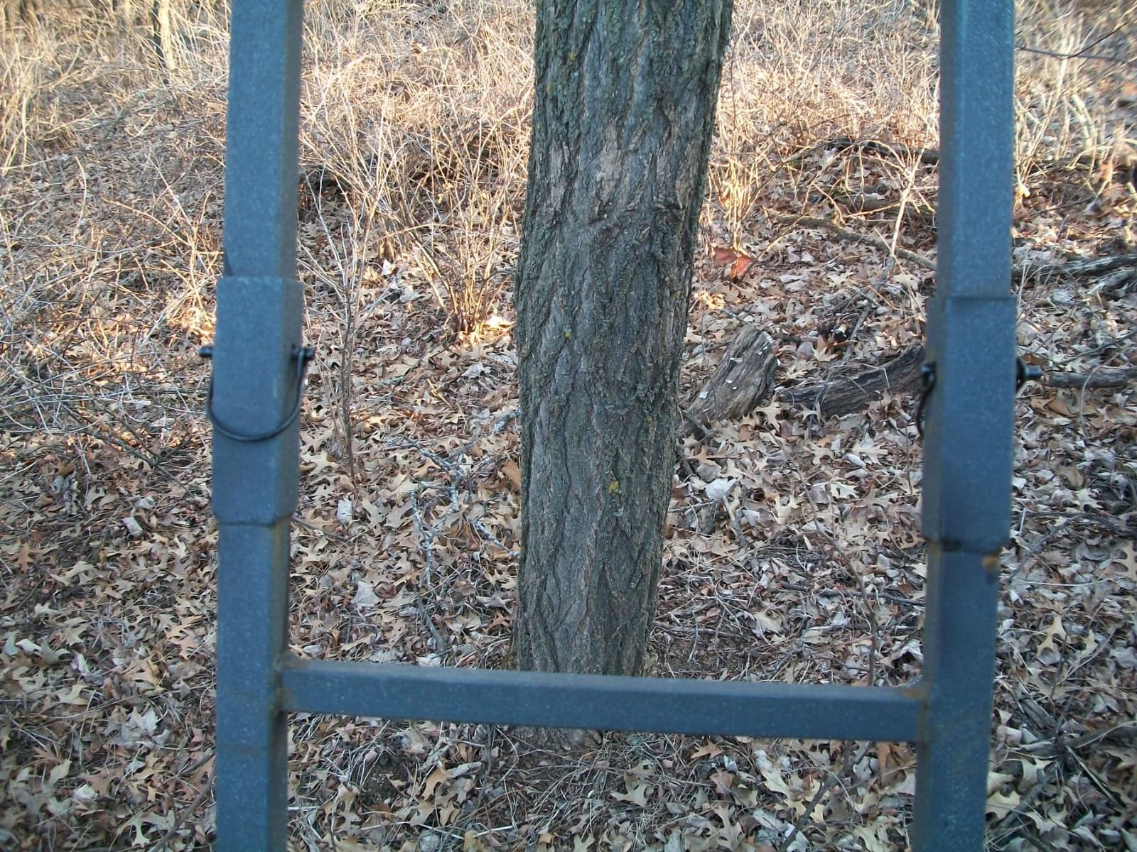 Rivers Edge 18' 2-Man Ladder Stand customer photo 2