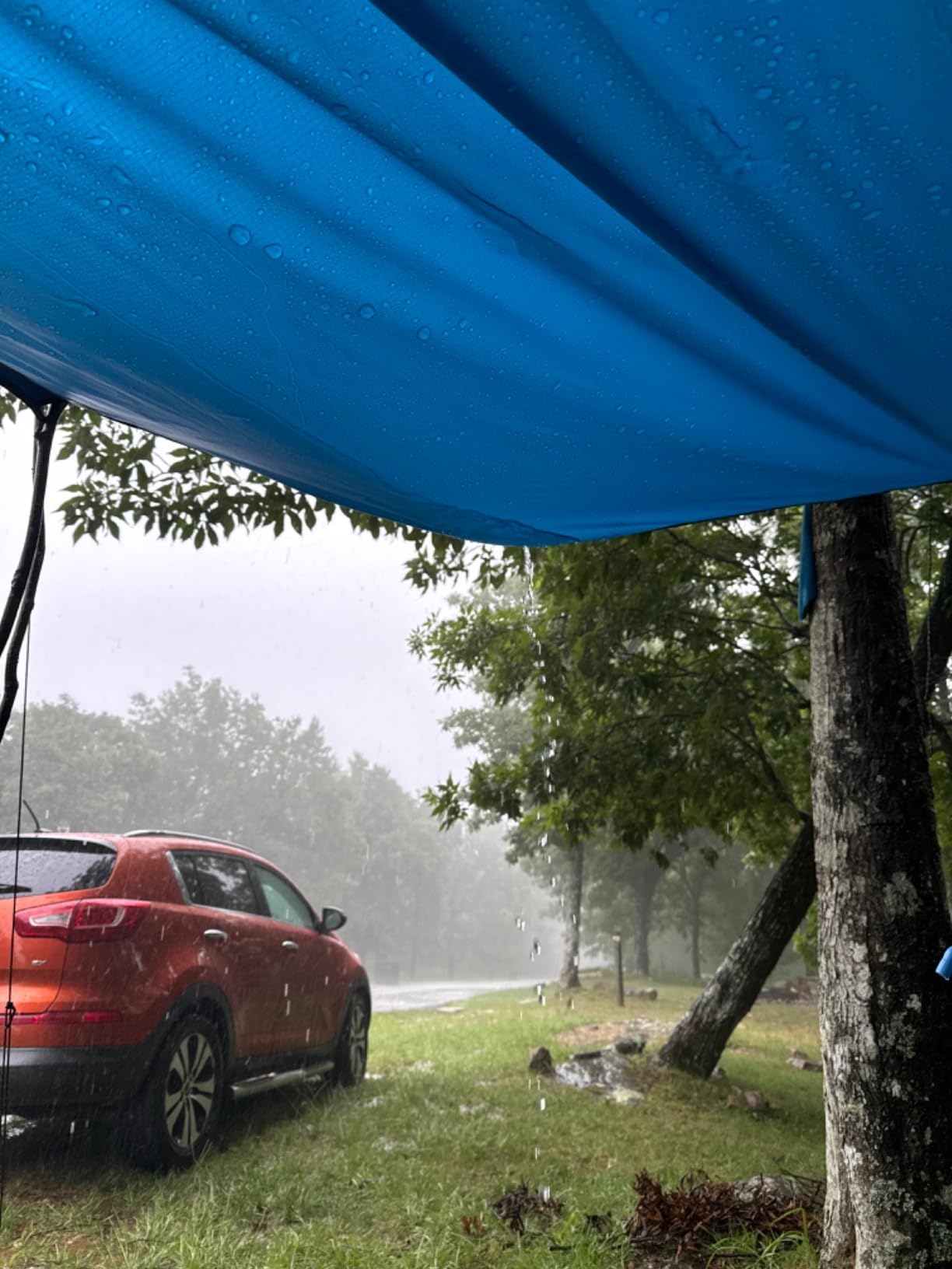 Wise Owl Outfitters Hammock Rain Fly - Waterproof Camping Tarp Cover with Tent Stakes & Carry Bag, Ultralight Shelter for Backpacking & Outdoor Shade customer photo 1