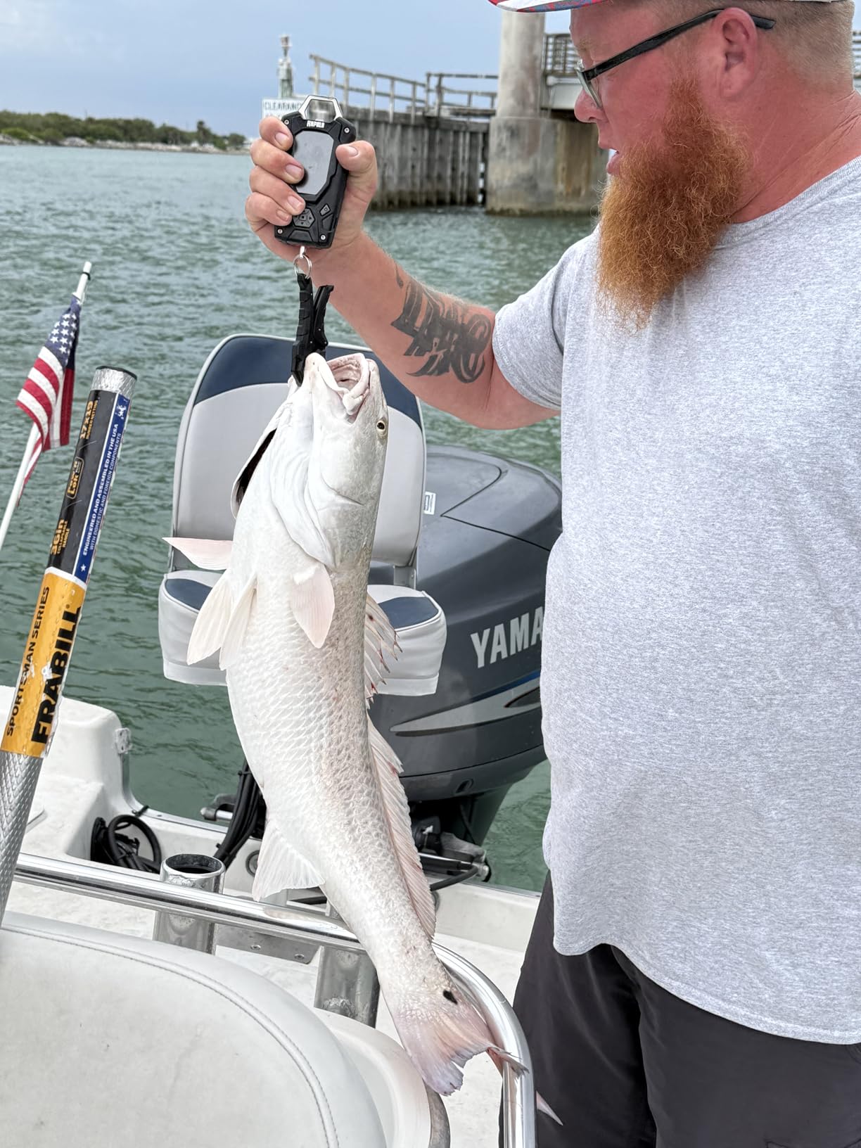 Rapala Digital Scale, Rapala High Contrast, 50 lbs customer photo 2