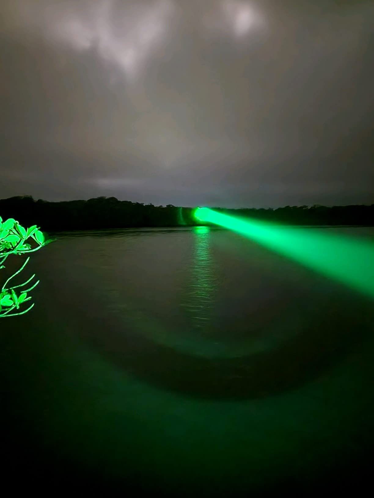 KL52Plus Zoomable Hunting Flashlight Kit for Coyote, Hog & Varmint | 800 Lumens, 452-Yard Long Range, 4 Interchangeable Red, Green, White & 850nm IR LEDs, Remote Pressure Switch & Scope Mount customer photo 1