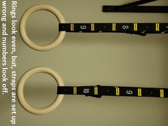 Double Circle Wood Gymnastics Rings with Quick Adjust Numbered Straps and Exercise Videos Guide - Full Body Workout Rings, Calisthenics, Home Gym (Multi-Size) customer photo 1