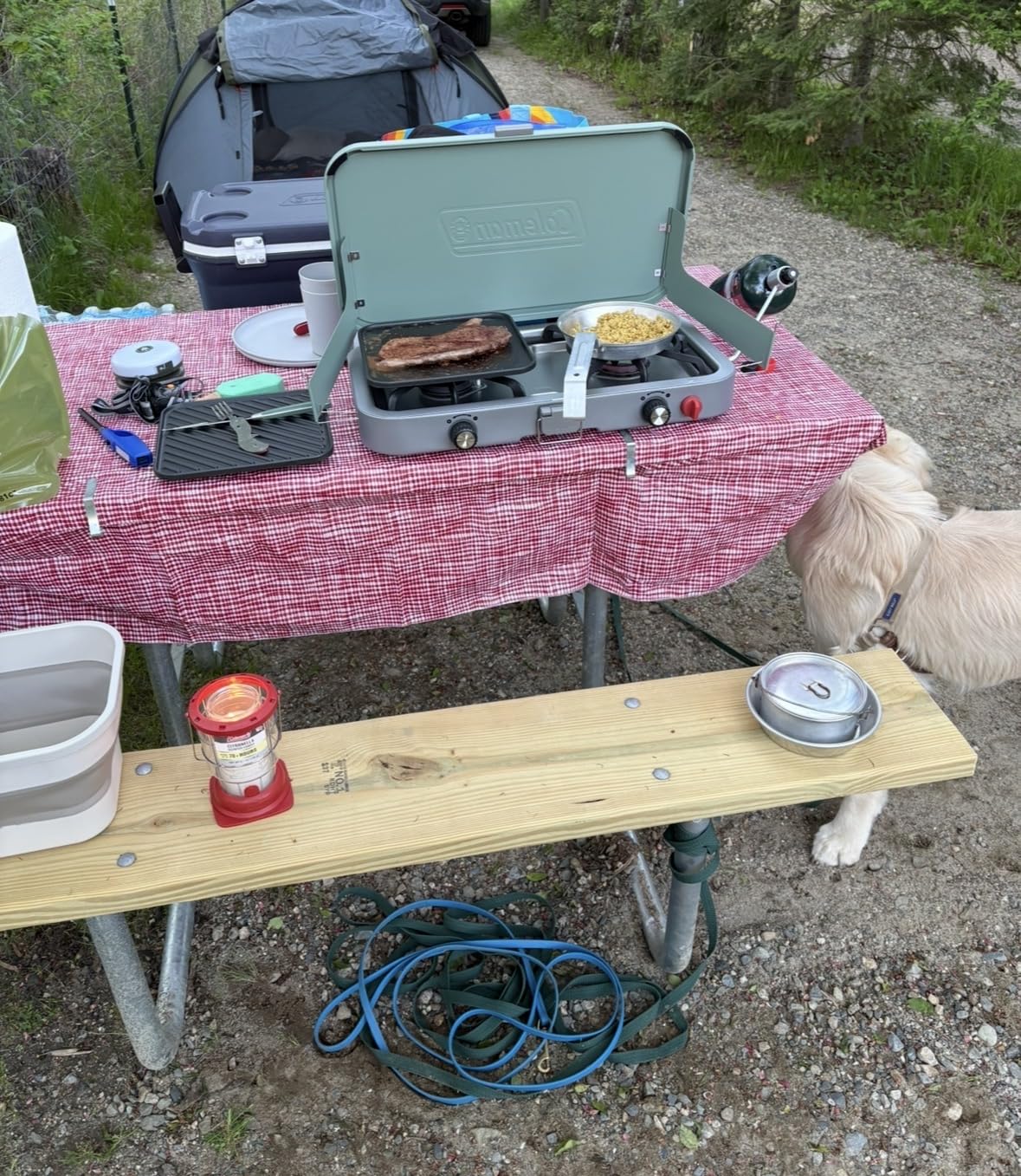 Coleman Cascade 3-in-1 Outdoor Camp Stove, Portable Cooktop with Included Cast-Iron Grill & Griddle Accessories, 24,000 BTUs of Power for Camping, Tailgating, Grilling customer photo 2