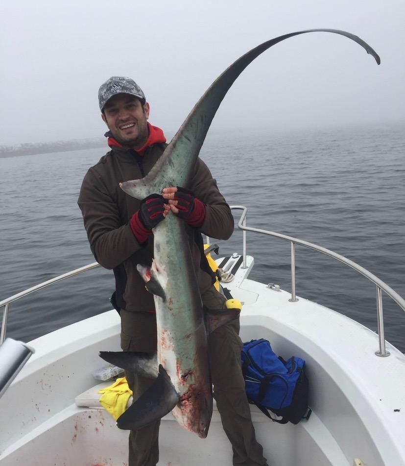 Tsunami Trophy Slow Pitch Jigging Conventional 701XH customer photo 2