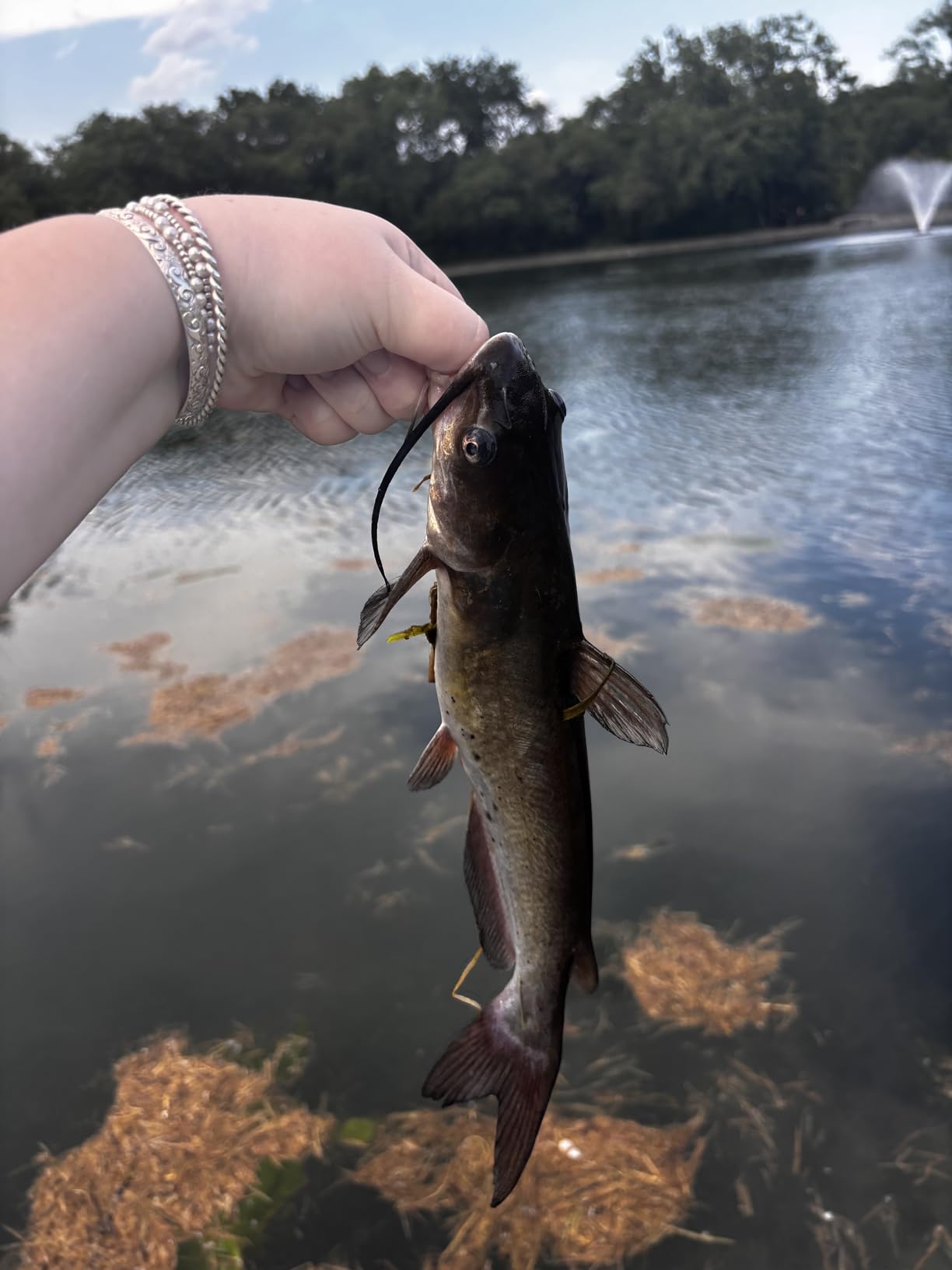 Fishing Lures Shallow Deep Diving Swimbait Crankbait Fishing Wobble Multi Jointed Hard Baits for Bass Trout Freshwater and Saltwater customer photo 1