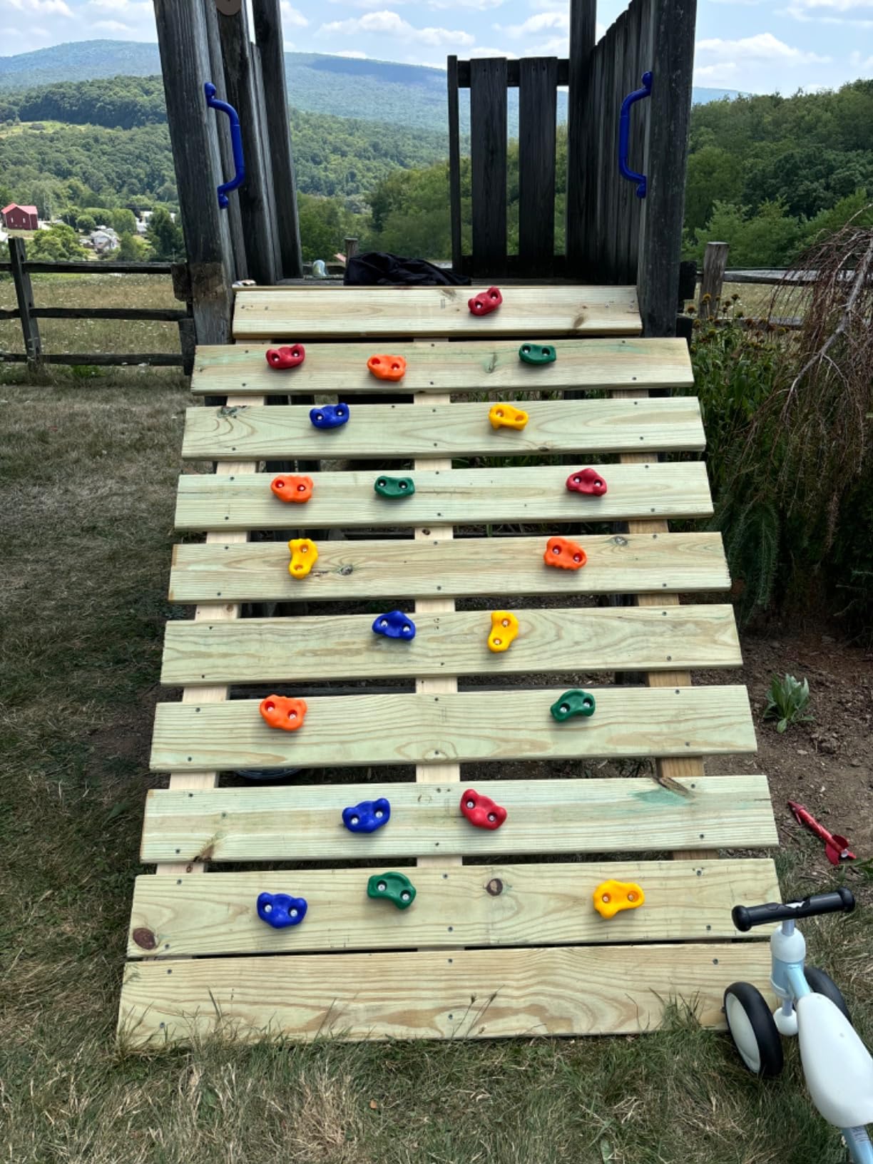 KINSPORY 20pc Rock Wall Climbing Holds for Kid, Play Set Climber Attachment | Colourful Anti-Slip Pig Nose Rocks, Two Blue Handles, Complete Mounting Hardware customer photo 2