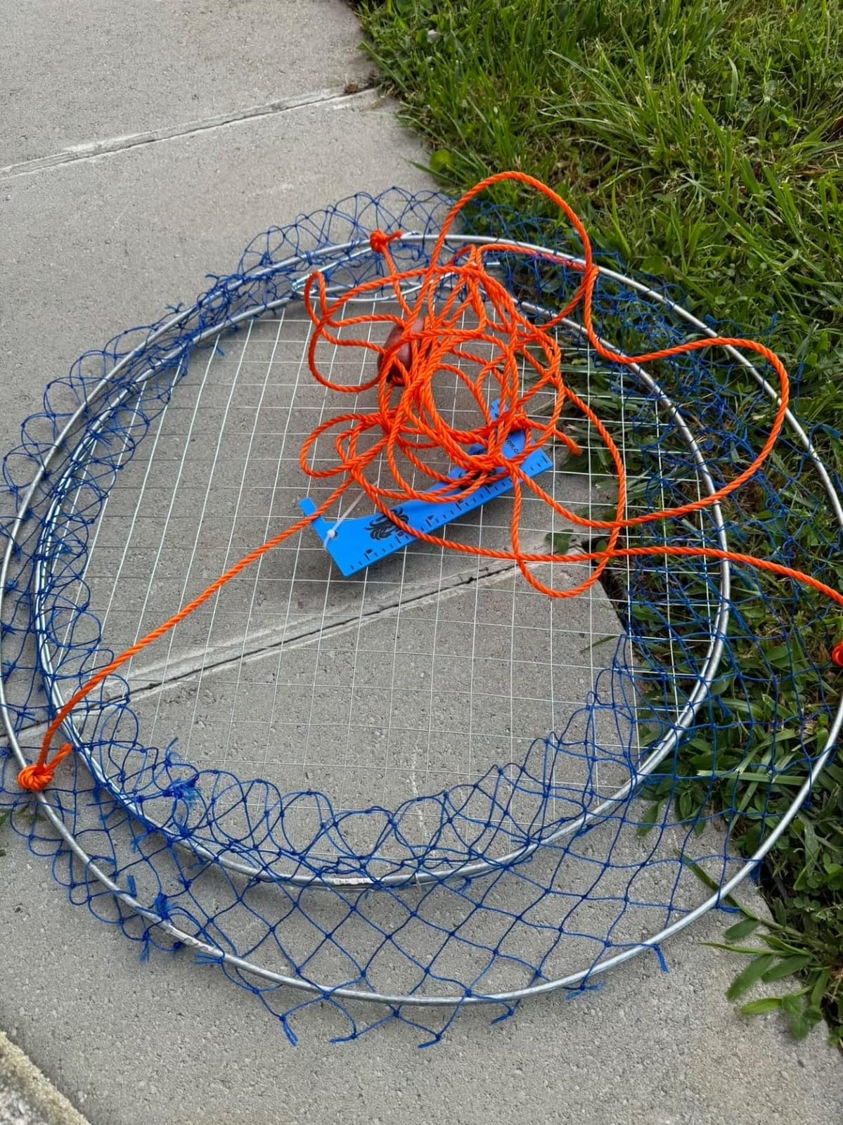 Palmyth Wire Grid Bottom Crab Nets Two Ring Crab Kit with Harness and Bait Clip 24