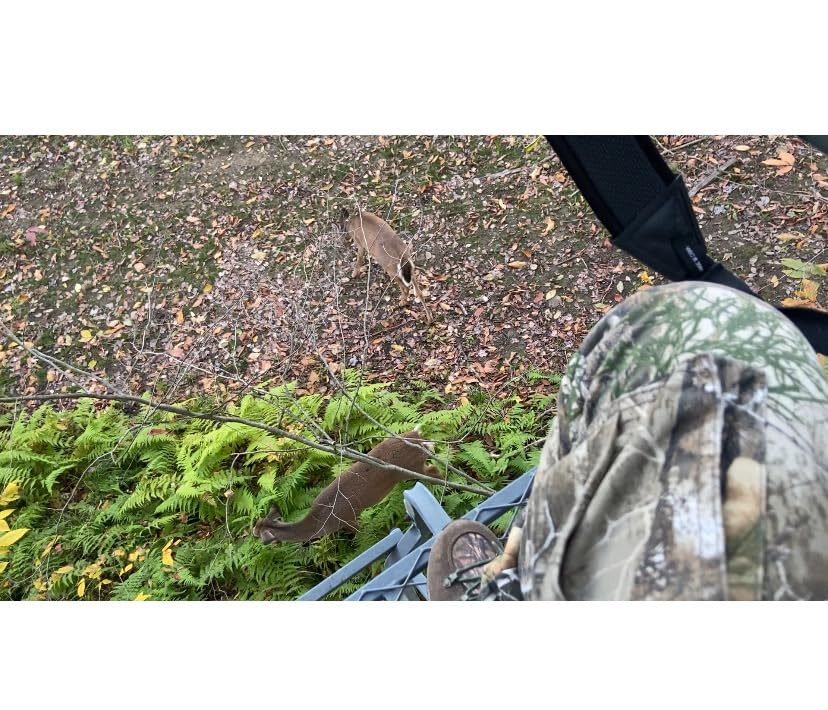 Primos Hunting The Original CAN Deer Estrus Bleat Call customer photo 1
