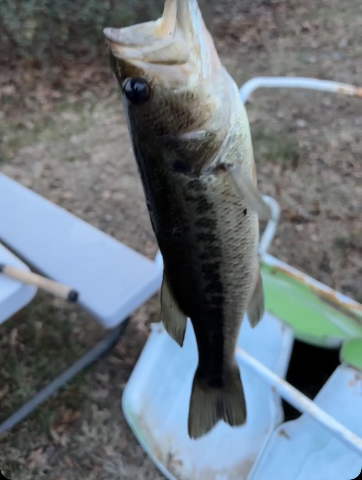 BASSDASH SwimPanfish Multi Jointed Panfish Bluegill Swimbaits Hard Topwater Bass Lures Fishing Lure Crank Saltwater 3.5in/0.85oz customer photo 1
