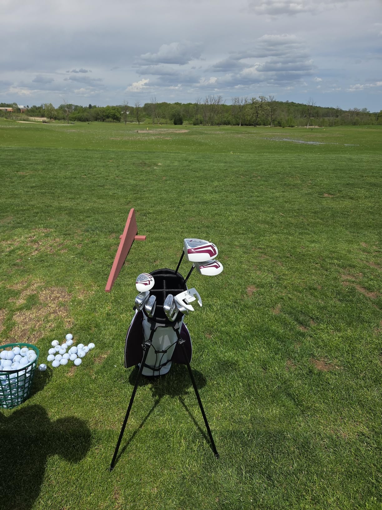 Aspire X1 - Women's Complete Golf Club Set | Graphite Shafts customer photo 1