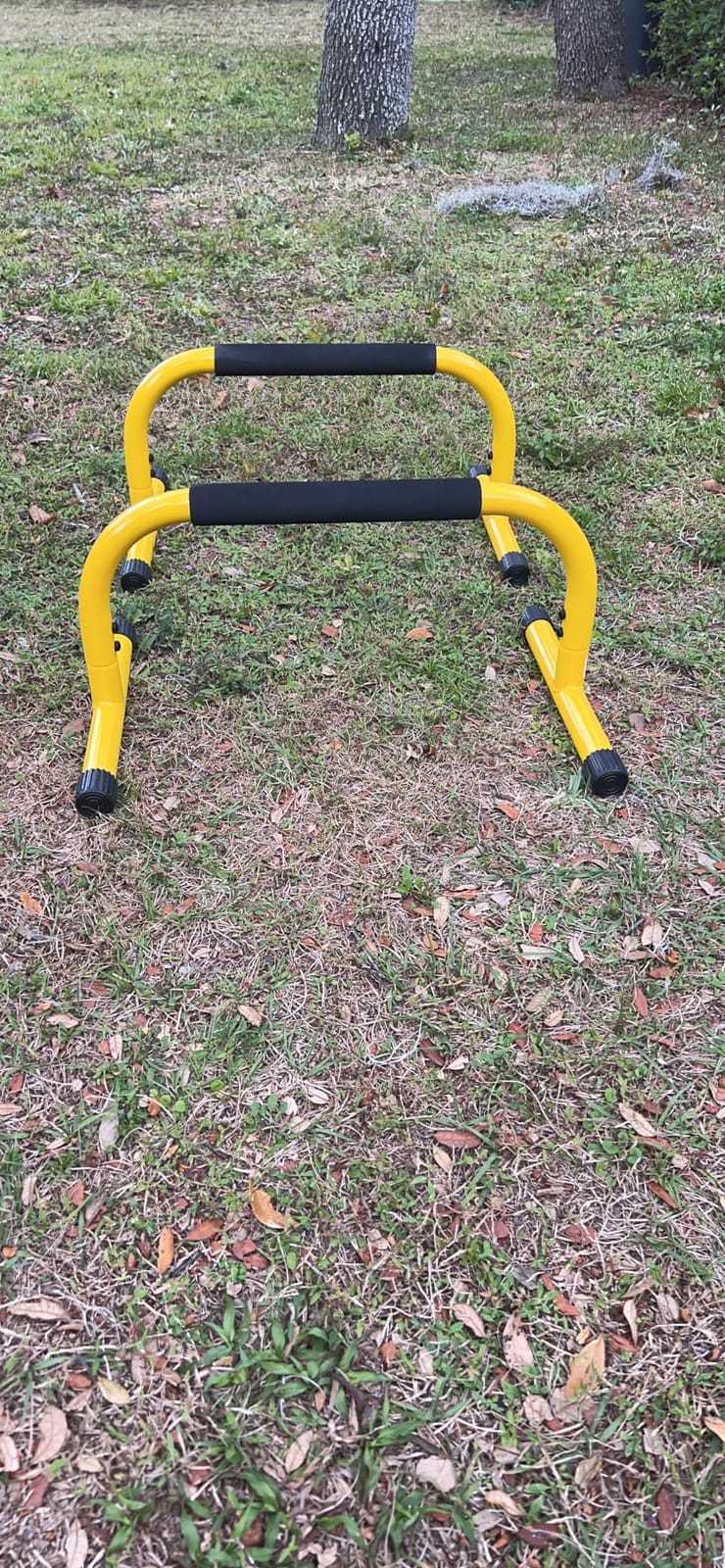 Lebert Fitness Parallette Push Up Bars Dip Station Stand - Perfect for Home and Garage Gym Exercise Equipment - Gymnastics, Calisthenics, Strength Training Parallel Bars for Men and Women customer photo 2