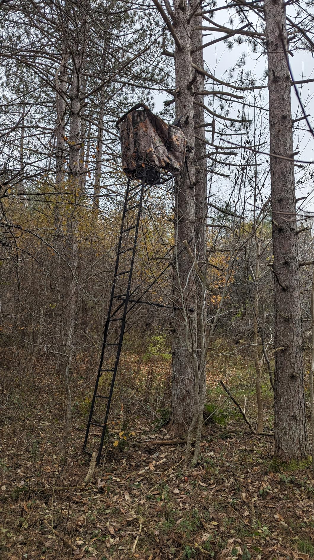 Muddy Huntsman Deluxe 17ft customer photo 1