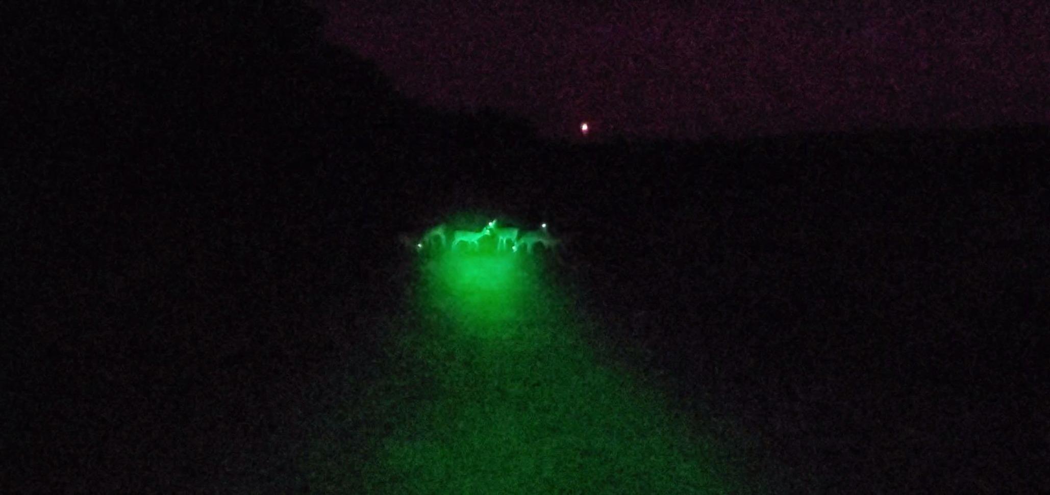 VASTFIRE Predator Light with Interchangeable (Red, Green, White) LED Hunting Flashlight with Scope Mount for Hog Coyote Coon Bobcat Raccoon Varmint Rabbit Night Hunting customer photo 2