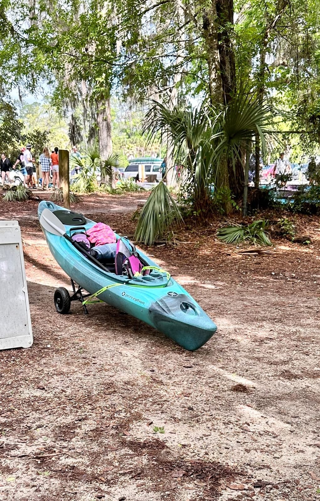 Perception Joyride - Sit Inside Kayak for Adults and Kids - Recreational and Multi-Water Kayak with Selfie Slot customer photo 1