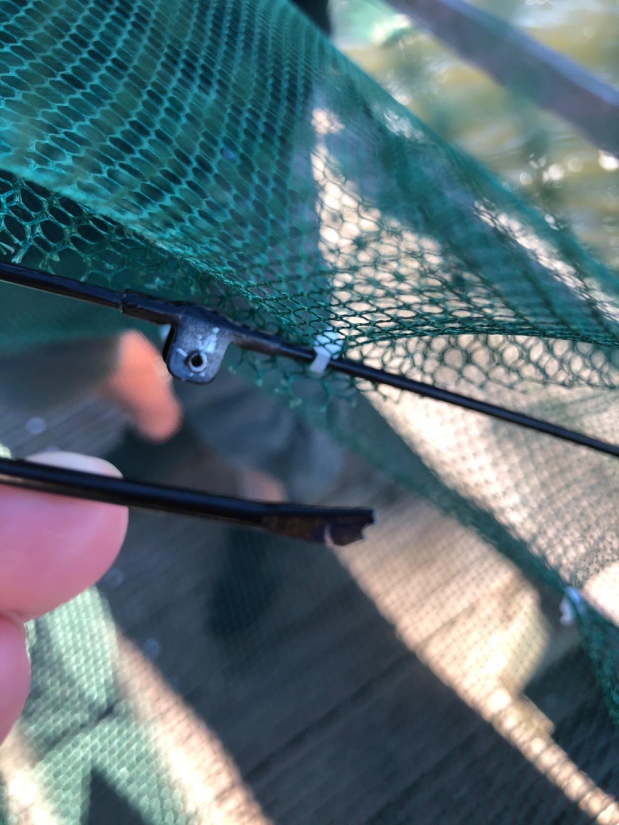 2 Pack Minnow Trap, Crawfish Trap, Crab Trap, Umbrella Fishing Net | 8-hole lightweight & foldable mesh. Durable crawdad trap & crayfish trap for catching crabs. Easy outdoor setup customer photo 2