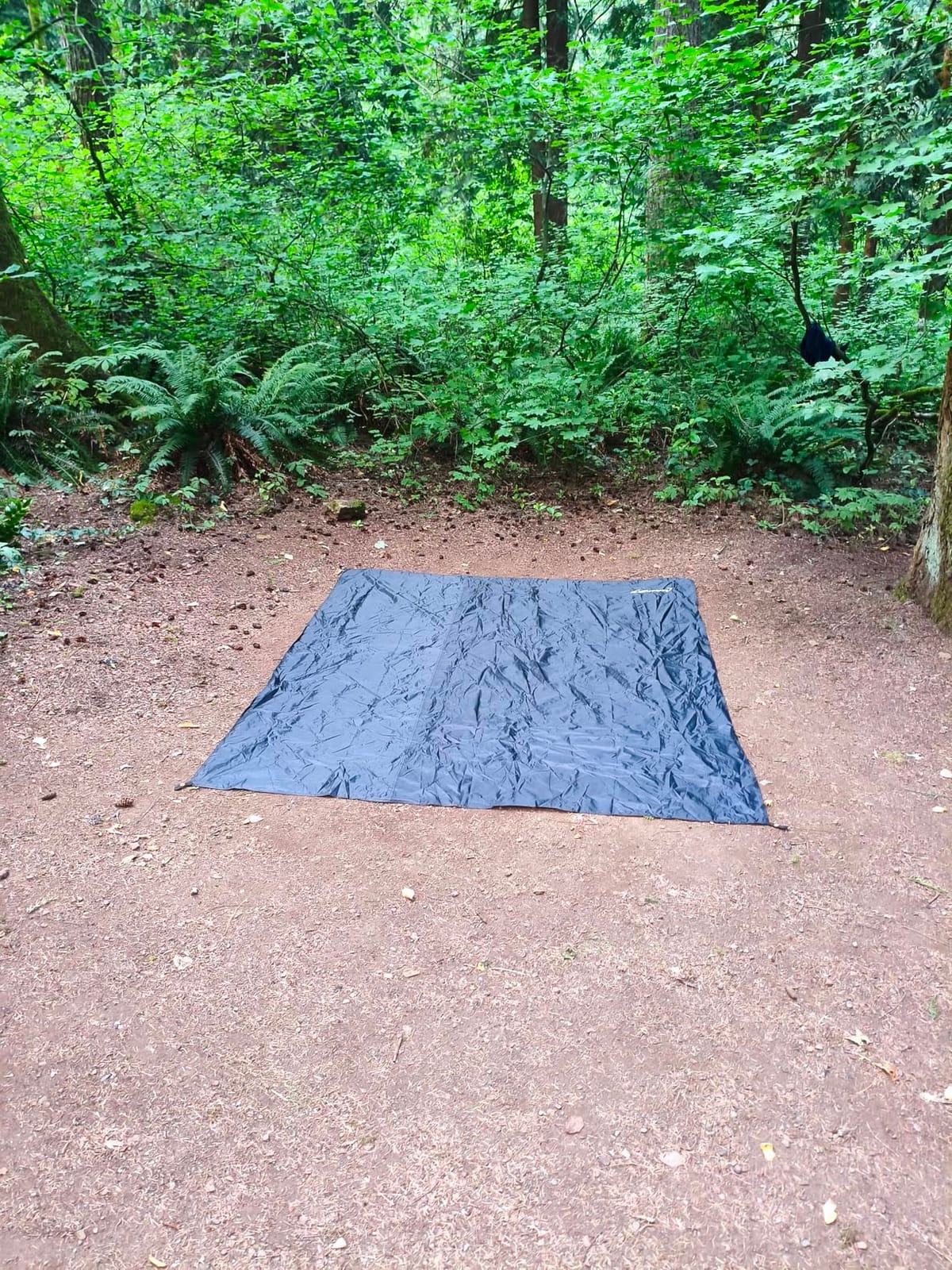 Clostnature Heavy Duty Tent Footprint Floor Saver, Camping Tarp, 210T Polyester, Waterproof, Ultralight customer photo 1