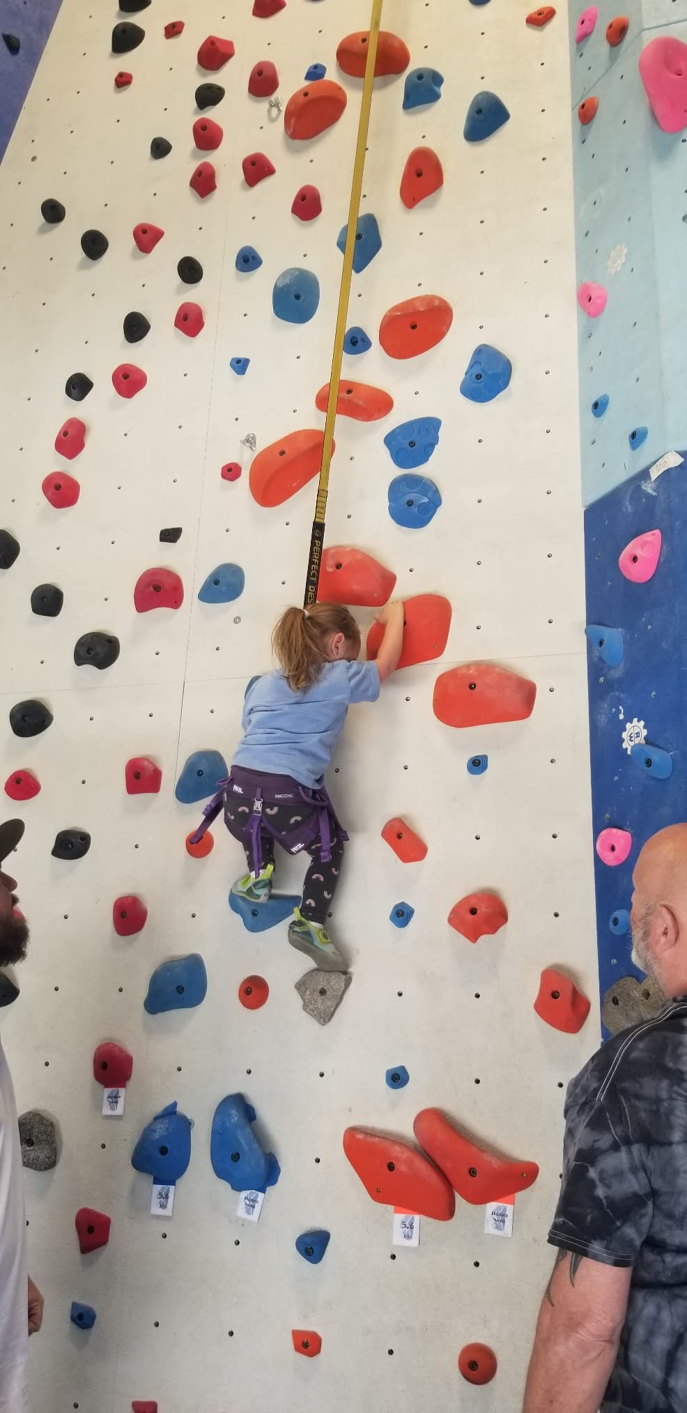 PETZL MACCHU Kids' Rock Climbing Harness | Adjustable Seat Harness for Children Less Than 40kg / 88 lbs customer photo 1
