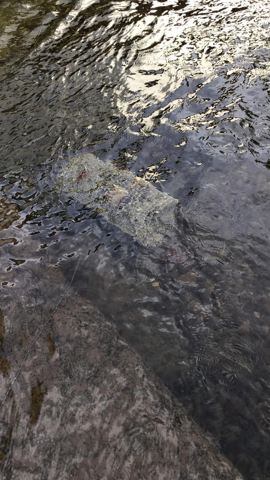 The Snake River Cylinder Crawfish Trap customer photo 1