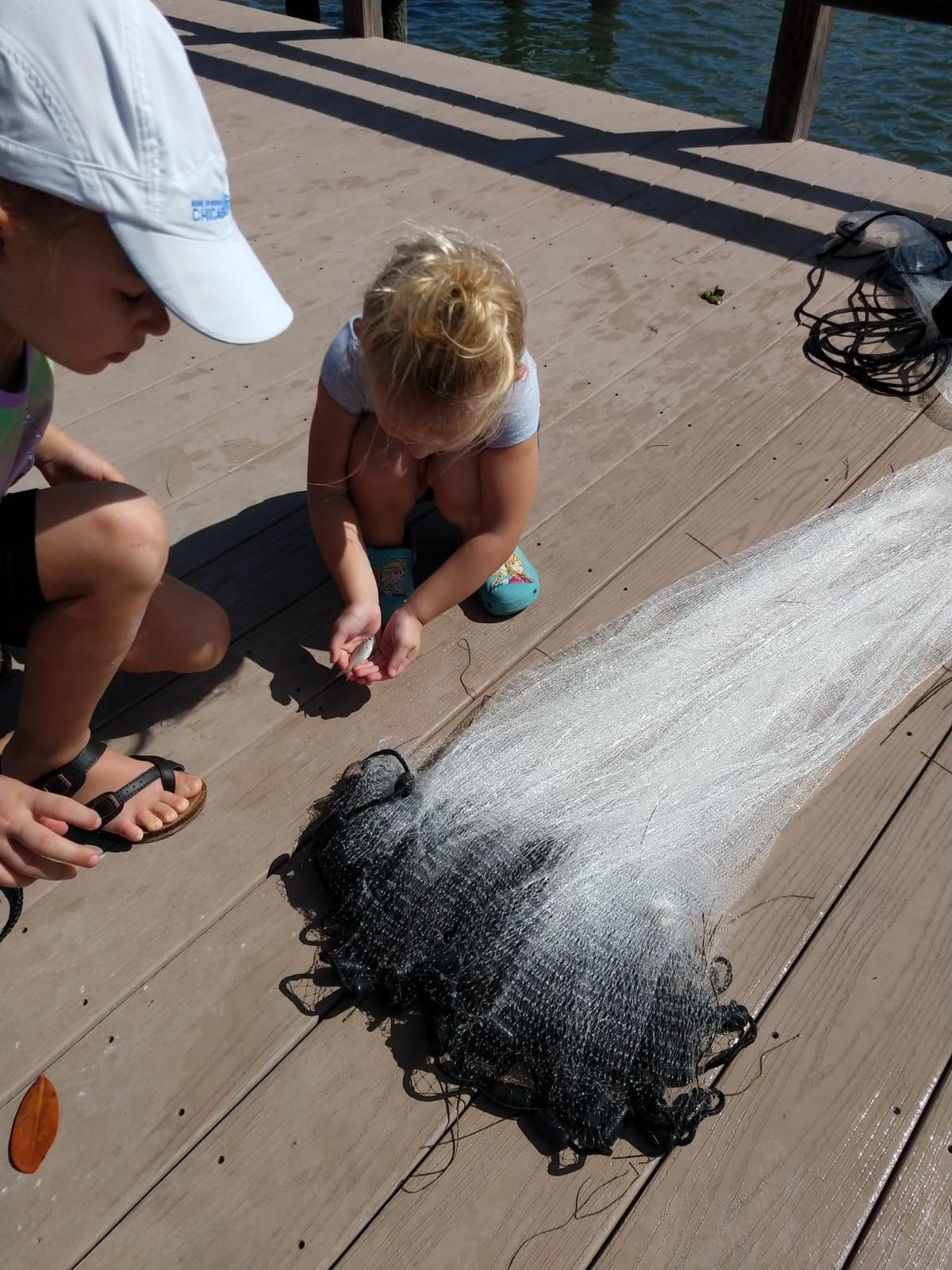 BASSDASH American Saltwater Fishing Cast Net 3/8 1/4-Inch Mesh 4ft 6ft 8ft Radius, 1-Pound Per Foot, for Bait Fish with Utility Bucket Casting customer photo 1