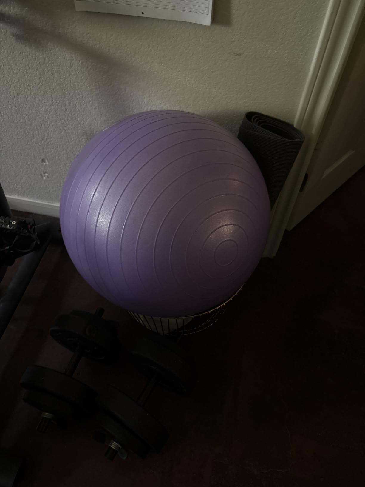 Fitvids Anti-Burst and Slip Resistant Exercise Ball Yoga Ball Fitness Ball Birthing Ball with Quick Pump customer photo 2